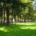 Пронађен леш жене у Кошутњаку