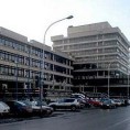 Муњеза и Јоловић пуштени на слободу