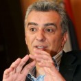 Подељена мишљења српских странака 