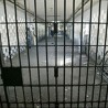 Приведен "колекционар" туђих аутомобила