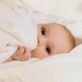 Осморке рођене у Калифорнији