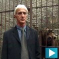 Прича о капетану Драгану
