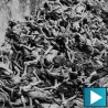 Најтраженији нацистички злочинци