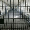 Ухапшена због превара и лажног представљања 