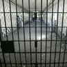 У притвор због убиства