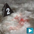 Пуцњава на Новом Београду