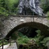 Масовна гробница у Словенији