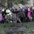 Банатска трка магараца