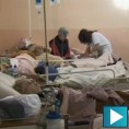 Отровани Милановчани нису животно угрожени