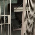За убиство навијача 15 година затвора