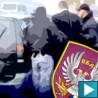 Наставак хапшења (по)ратних профитера