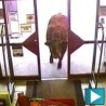 Бик у самоуслузи