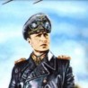 Пустињска лисица