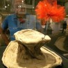 Распродате ствари Марсела Марсоа 