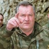 Лажна вест о хапшењу Младића у Босни
