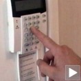 Како се заштитити од провалника