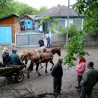 Украјинско село Џексон