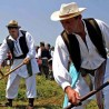 Покосио 20 метара ливаде за три и по минута 