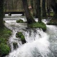 Енциклопедија за радознале