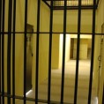 Одређен притвор Наташи Торбици