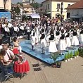 Жикина шареница