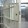 Завршена истрага против Наташе Торбице