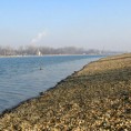 Пронађено беживотно тело на Ади Циганлији