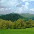 Еко караван: Хомоље