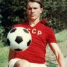 Блохину награда за животно дело