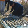 Пронађена већа количина оружја у Прешеву