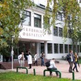 Претучен декан у Новом Саду