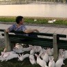 Награда за „Ђавољу варош" у Атини