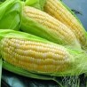 Еко рецепт: Златно зрно кукуруза