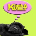 Клиника вет