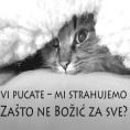 Клиника вет