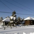 Претучен инспектор на Дивчибарама