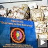 Сви пљеваљски мафијаши