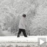 Жртве зиме у Србији