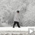 Жртве зиме у Србији