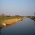 Воде Србије: Канали Србије