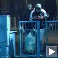 Подгорички легализам