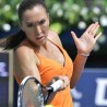 Јелена против Звонарјове