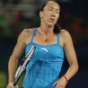 Јелена заустављена у Дубаију