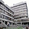 Суботичком одређен притвор
