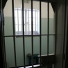 Ухапшени лажни кладионичари