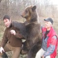 Сасвим природно: Срби медведима не верују