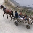 Образовање Рома