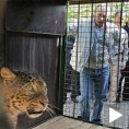 Путин у друштву леопарда