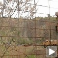 Масовна гробница код Рашке