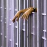 Окончан протест у новосадском затвору